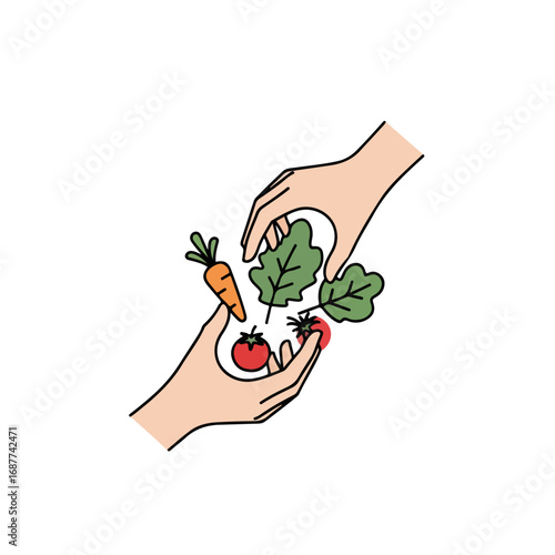 Hands picking vegetables, with illustration of fresh garden produce isolated on white. Hands picking vegetables for cooking, showing healthy lifestyle choices and farm to table concept.
