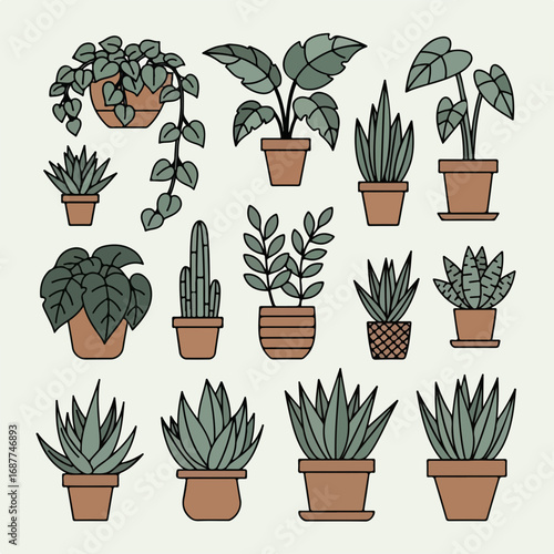Home gardening plants assortment in terracotta pots against solid background. Home gardening plants arrangement features diverse houseplants in different pots, adding to charm.