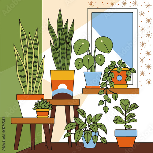 Home gardening plants showcased near window, home gardening plants collection includes snake plants and peperomia.