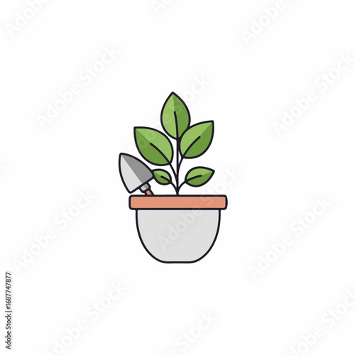 Home gardening plants featuring seedling in flower pot. Home gardening plants involves seedling cultivation, soil preparation, and tool use for small scale cultivation.