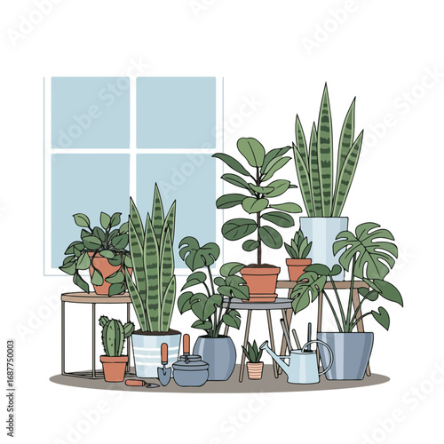 Home gardening plants in colorful pots near window, home gardening plants make interiors feel cozy and fresh. Various home gardening plants sit in the home near tools for planting.