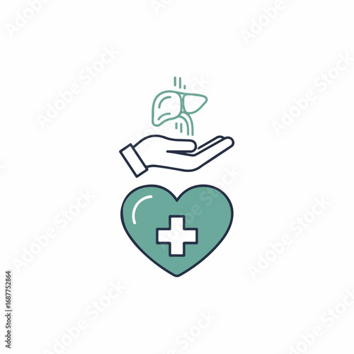 Concept donation depicted by liver, hand, and heart on white background, sign for hope. Liver donation, sign for help to patients suffering from organ failure, needing transplant.