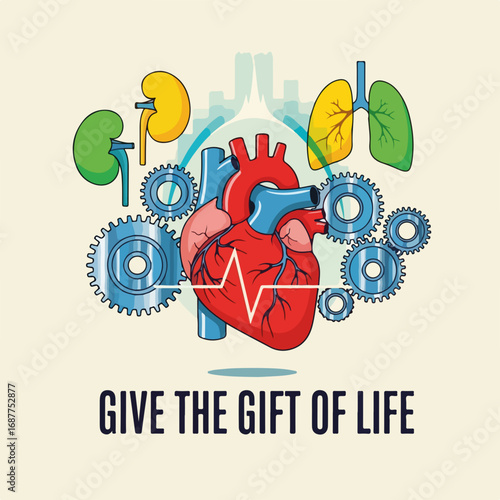 Organ donation anatomical illustration showcases human heart, kidney, and lungs in detailed design, representing gift of life.