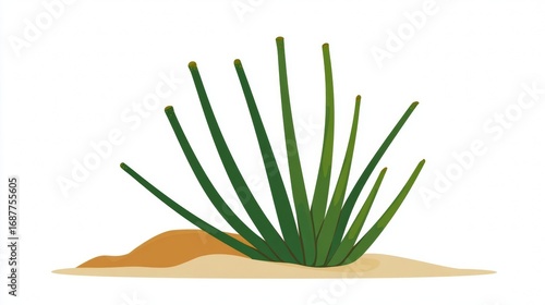 A simple illustration of a clump of green grass-like plants growing in sandy soil.