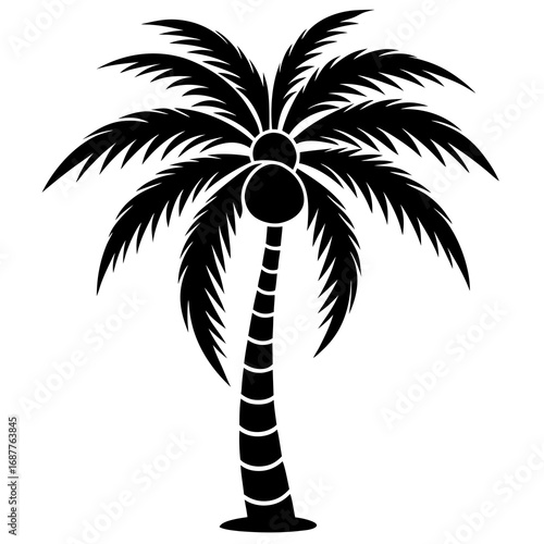 coconut palm tree
