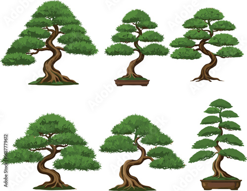 Bonsai tree collection, miniature ornamental plants, Japanese garden art, twisted trunk styles, green foliage, shallow pots, traditional pruning, decorative indoor plants