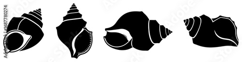 Hindu shankha conch shell silhouette collection