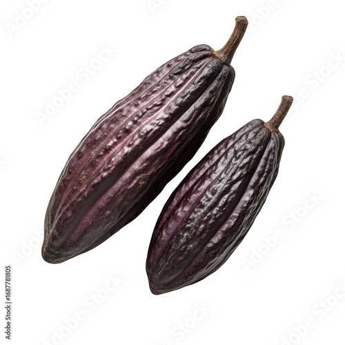 Wallpaper Mural Two dark purple cacao pods with ribbed texture isolated on a transparent background cocoa beans Torontodigital.ca
