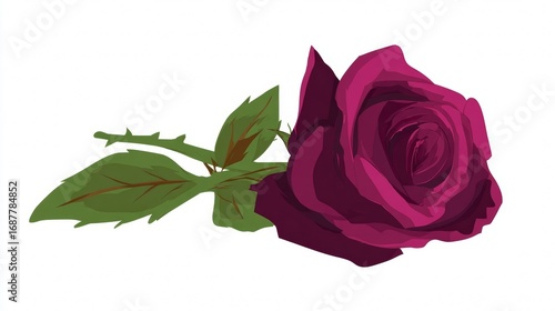 Fototapeta Naklejka Na Ścianę i Meble -  A single, deep magenta rose lies on its side with green leaves and a thorny stem.