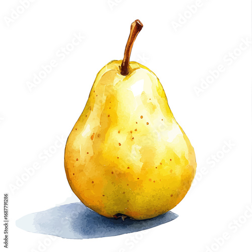 Pear, watercolor vector, isolated on a white background.