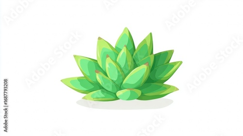 A fresh aloe vera plant with green leaves is isolated against a white background