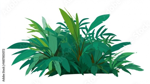 Fresh palm tree branch with green leaves isolated on a white background