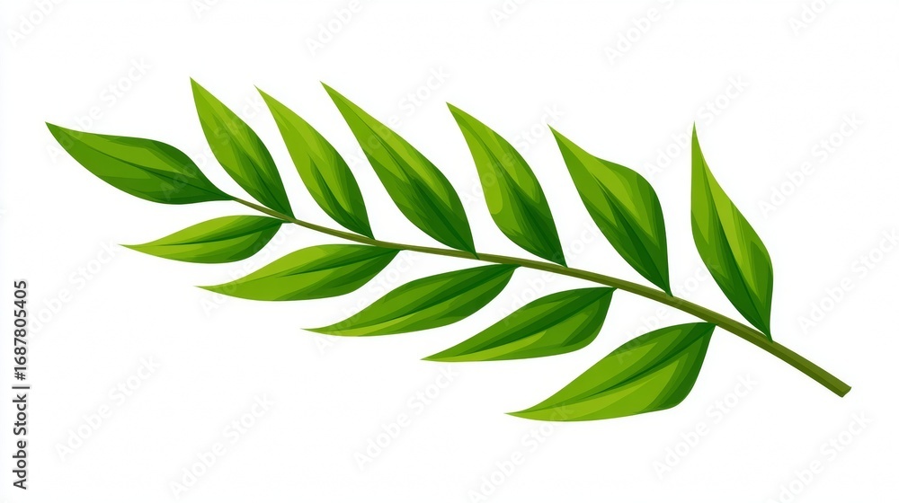 Fototapeta premium Fresh green leaves on a tree branch isolated on a white background, perfect for a natural botany illustration