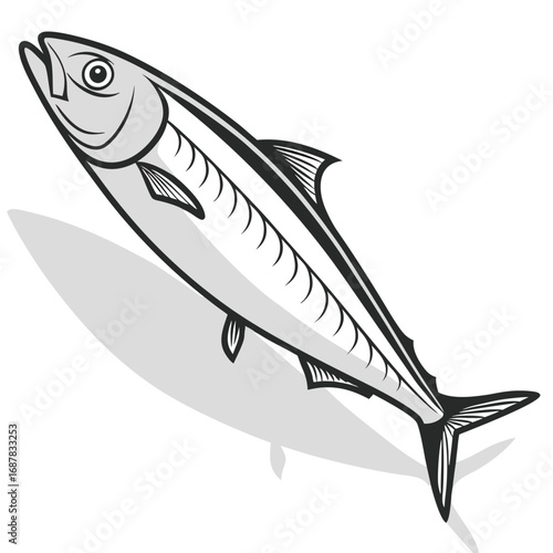 Illustration of a silver mackerel fish with shadow