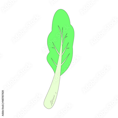 mustard green. vegetable theme. agriculture. harvest. vector illustration