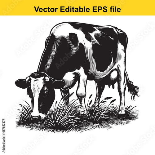 Black and white illustration of a cow grazing in grass, isolated on white background