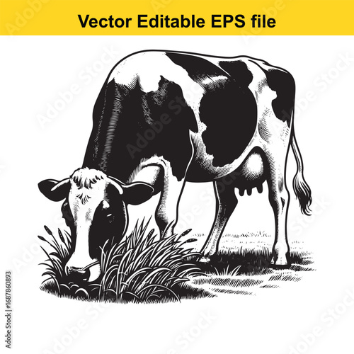 Black and white illustration of a cow grazing in grass, isolated on white background