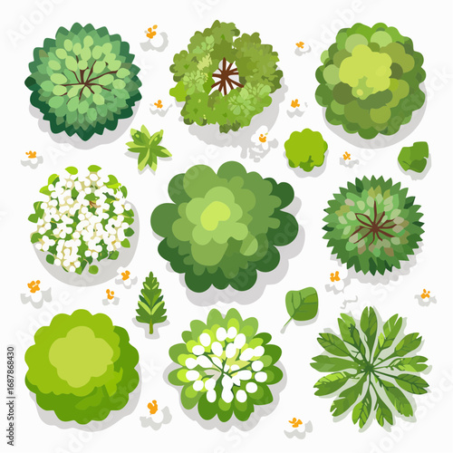 Vector set of Top view green tree for outdoor plan or map and architecture drawing, elements for environment and garden ,botanical elements