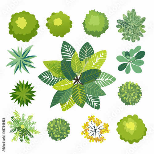 Vector set of Top view green tree for outdoor plan or map and architecture drawing, elements for environment and garden ,botanical elements