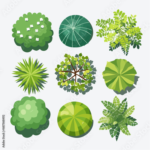 Vector set of Top view green tree for outdoor plan or map and architecture drawing, elements for environment and garden ,botanical elements