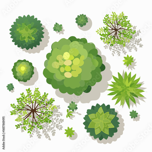 Vector set of Top view green tree for outdoor plan or map and architecture drawing, elements for environment and garden ,botanical elements