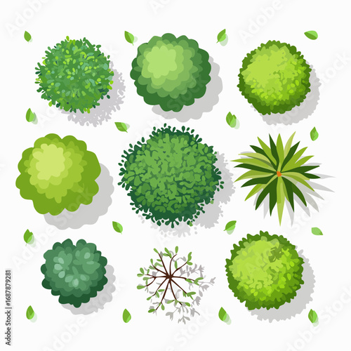 Vector set of Top view green tree for outdoor plan or map and architecture drawing, elements for environment and garden ,botanical elements