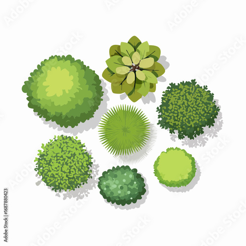 Set of trees top view for landscape and architecture elements