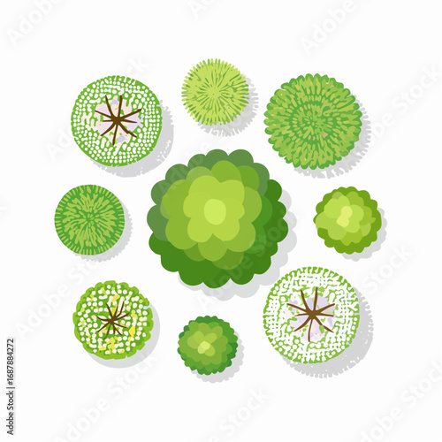 Vector set of Top view green tree for outdoor plan or map and architecture drawing, elements for environment and garden ,botanical elements