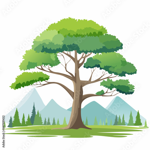 Vector watercolor of pine tree side view isolated on white background for landscape and architecture drawing, elements for environment and garden, painting botanical for section and .