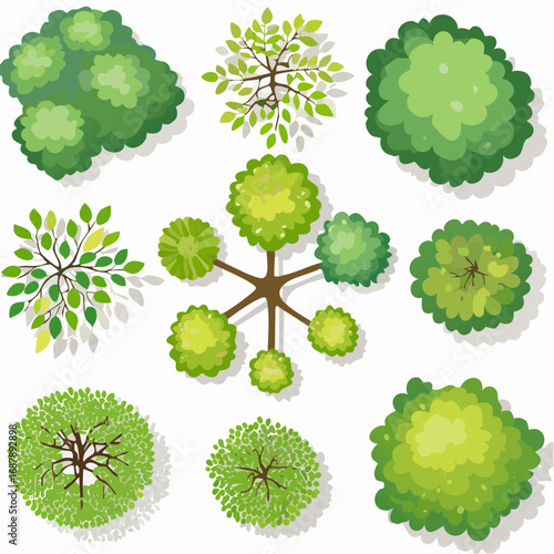 Vector set of Top view green tree for outdoor plan or map and architecture drawing, elements for environment and garden ,botanical elements