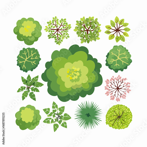 Vector set of Top view green tree for outdoor plan or map and architecture drawing, elements for environment and garden ,botanical elements