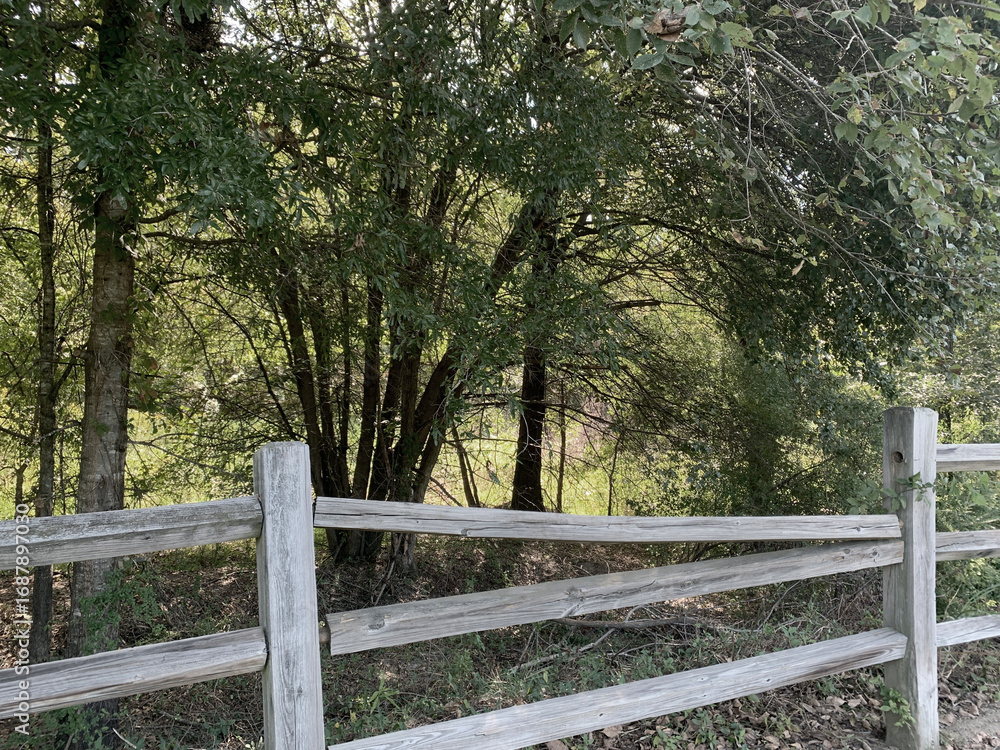 Fototapeta premium NC Hville Loose Fence Rail 2025