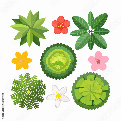 Vector set of tropical green tree and flower top view isolated on white background for landscape plan and architecture drawing, elements for environment and .