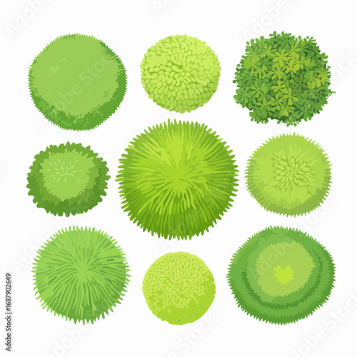 Isolated Green Grass on White Background, Collection of Watercolor Tree Aerial Views for Landscape Planning and Architectural Designs