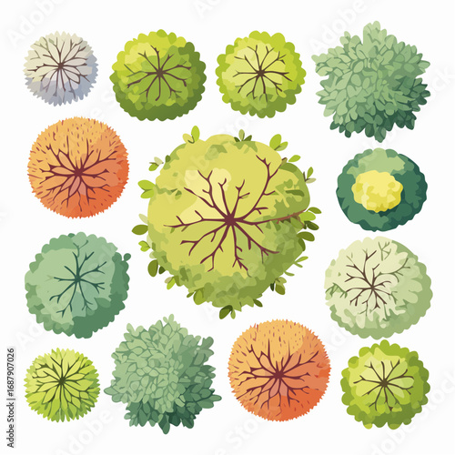 Collection of Aerial Tree Illustrations in Watercolor, Isolated on White Background, Ideal for Landscape Planning and Architectural Design.