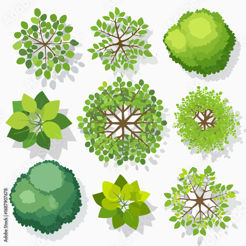 Vector set of Top view green tree for outdoor plan or map and architecture drawing, elements for environment and garden ,botanical elements