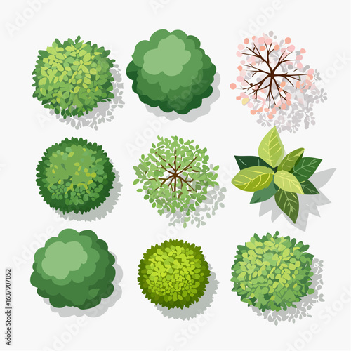 Vector set of Top view green tree for outdoor plan or map and architecture drawing, elements for environment and garden ,botanical elements