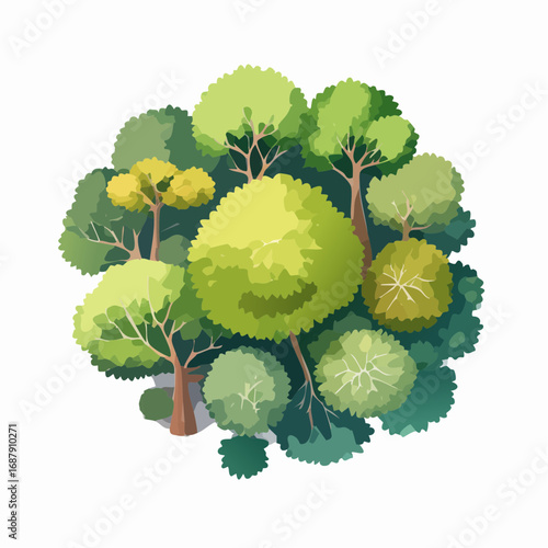 Vector watercolor tree or forest top view isolated on white background for landscape and architecture drawing,elements for environment and garden,botanical for section in spri