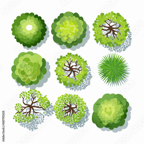 Vector set of Top view green tree for outdoor plan or map and architecture drawing, elements for environment and garden ,botanical elements