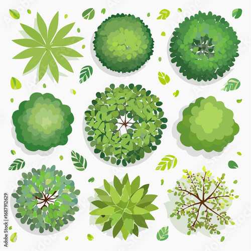 Vector set of Top view green tree for outdoor plan or map and architecture drawing, elements for environment and garden ,botanical elements