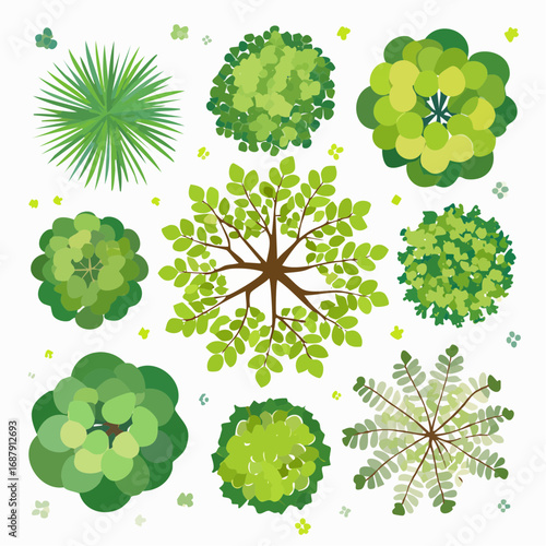 Vector set of Top view green tree for outdoor plan or map and architecture drawing, elements for environment and garden ,botanical elements