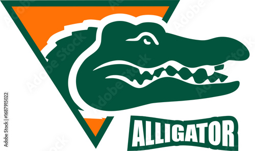 Photography Vector of crocodile Logo design on white background