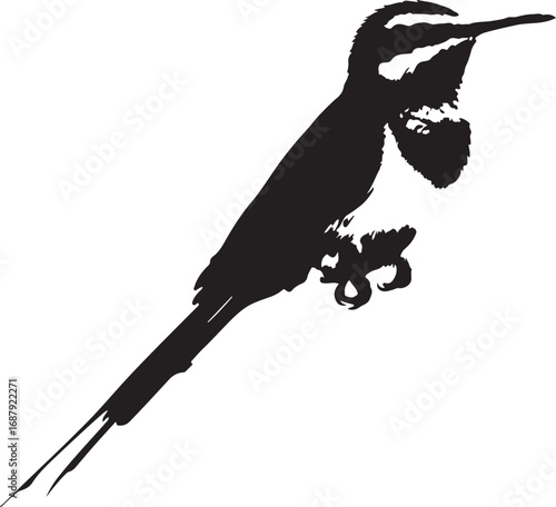 Black bird perched on branch silhouette
