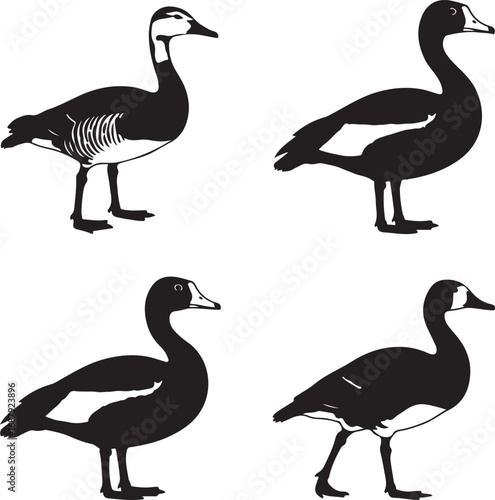 Black geese silhouettes standing goose bird