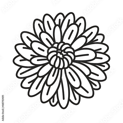 Flat black & white outline of chrysanthemum