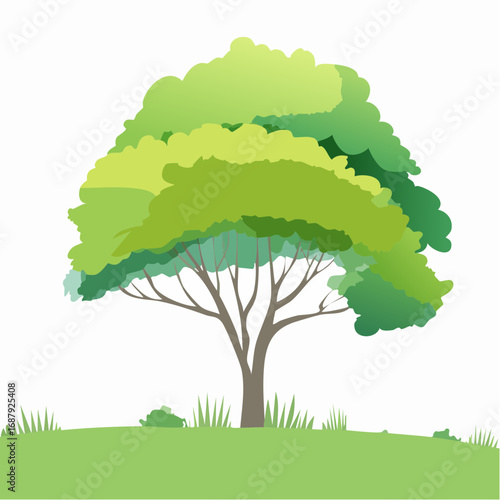 Vector watercolor of green tree side view isolated on white background for landscape and architecture drawing, elements for environment and garden, painting botanical for section and .