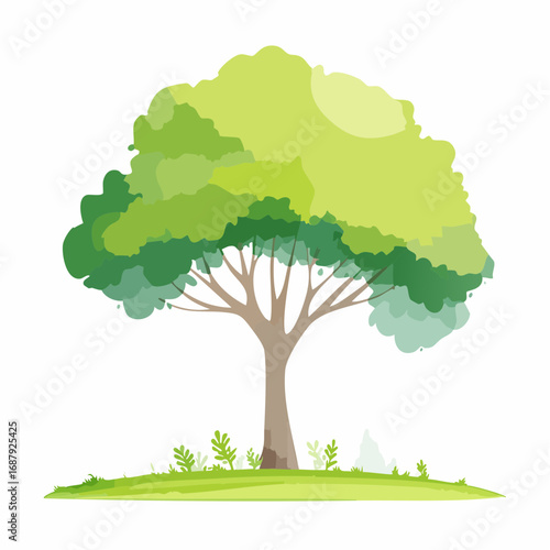 Vector watercolor of green tree side view isolated on white background for landscape and architecture drawing, elements for environment and garden, painting botanical for section and .