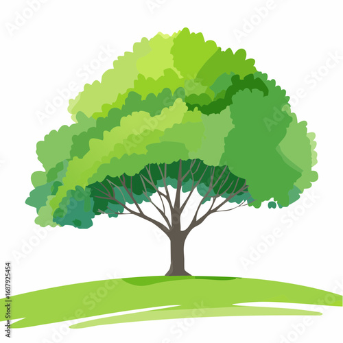 Vector watercolor of green tree side view isolated on white background for landscape and architecture drawing, elements for environment and garden, painting botanical for section and .