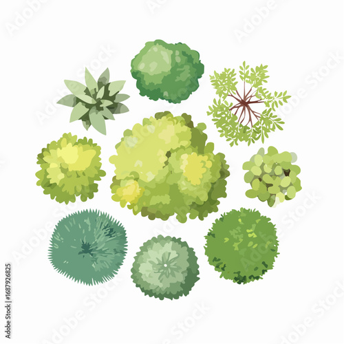 Set of watercolor tree top view isolated for landscape plan and architecture layout,plant for gardening