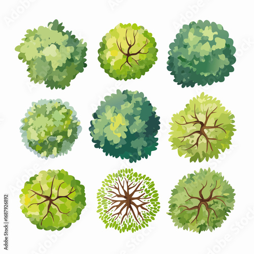 Set of watercolor tree top view isolated for landscape plan and architecture layout,plant for gardening
